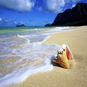 Путешествие с Монталем, или Засланные казачки в клане М-М